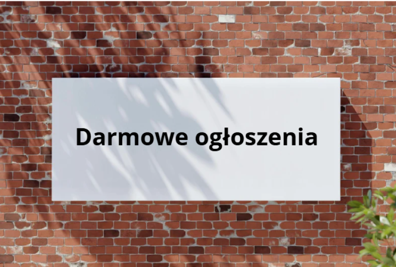 ilustracja artykułu: Portal z ogłoszeniami jak nowoczesny showroom? Dlaczego prezentacja ogłoszeń jest ważna.
